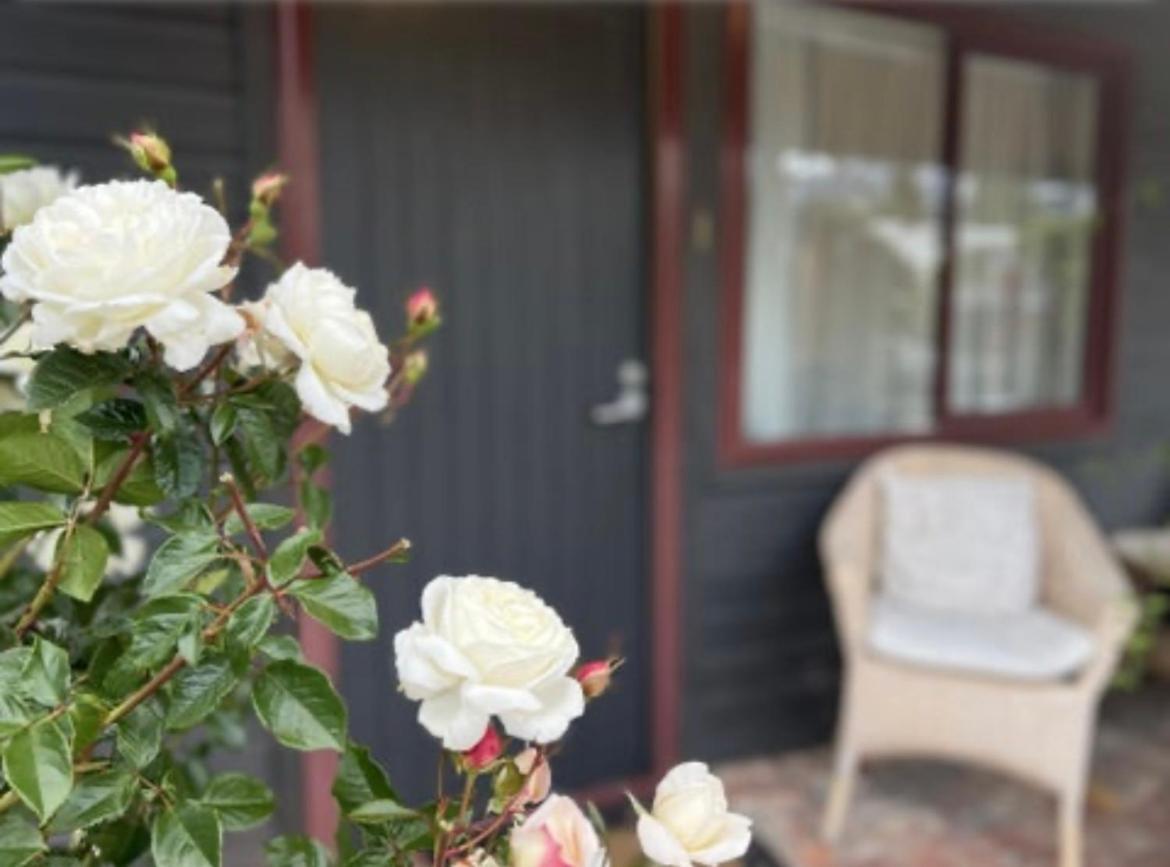 #2 Glenorchy Alpine Suite Exterior foto